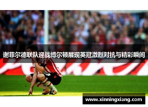 谢菲尔德联队迎战博尔顿展现英冠激烈对抗与精彩瞬间